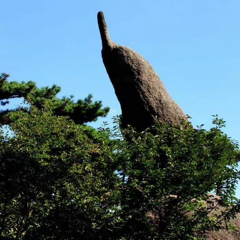 黄山游记