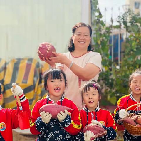 【这个秋天我与红薯有个约会！】——南堡一幼海月园