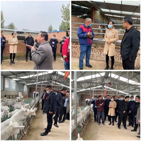 走出去取“羊经” 引进来发“羊财”