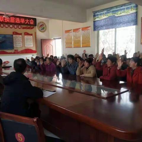 巾帼新征程，水沟镇圆满完成村妇联换届工作