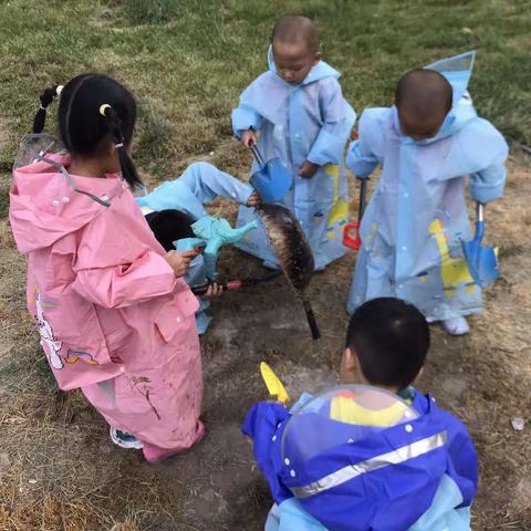 中三班的快乐的户外活动☺️☺️☺️