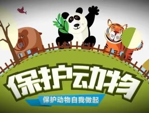 今天我的同学程子旭给我们演讲《保护动物》