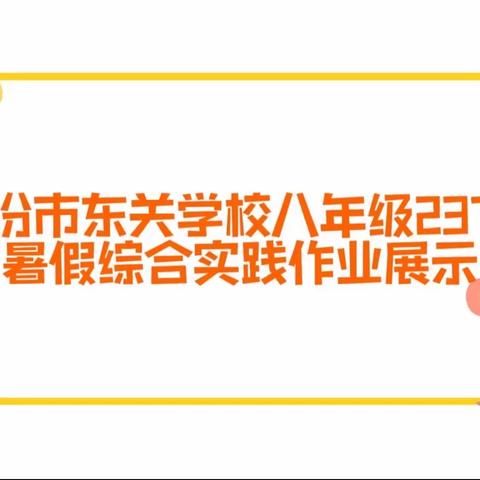 暑日艳阳，领略实践探索的乐趣——临汾市东关学校八年级237班暑假综合实践展示