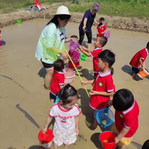 晨欣园幼儿园——自然探究课《逮鱼🐟》