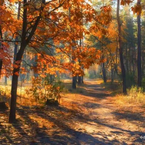 提灯引路·育梦成光——记城厢中学顶岗、实习老师会议