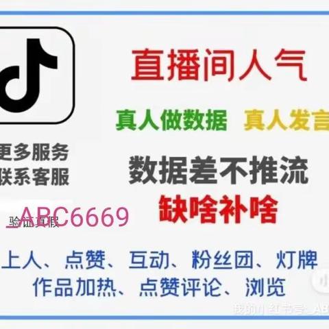 【支引未来】深度解析：抖音黑科技兵马俑的赚钱策略，为宝妈和上班族构建额外收入渠道！