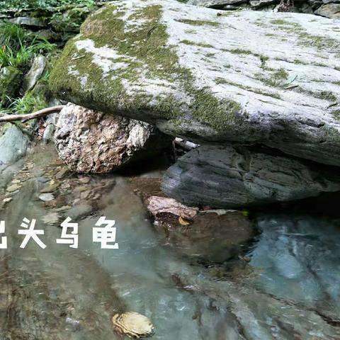 游王山背随笔