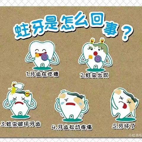 博达教育集团大风车幼儿园金龟子二班第三周——“爱护牙齿，伴我成长了”主题活动