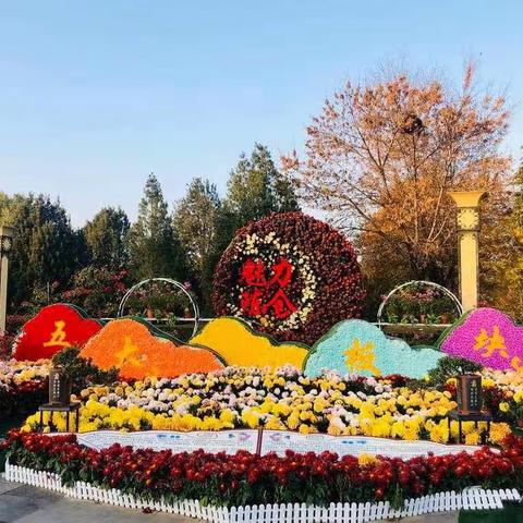 菊花展即景