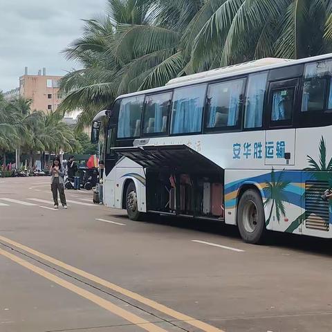 定安龙塘中学实习（一）