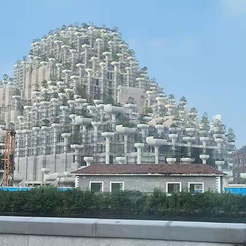 第一天外出考察（1933-外滩-上海城隍庙）