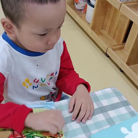 【鄂州新天地幼儿园】我的观察记录——阅读区角