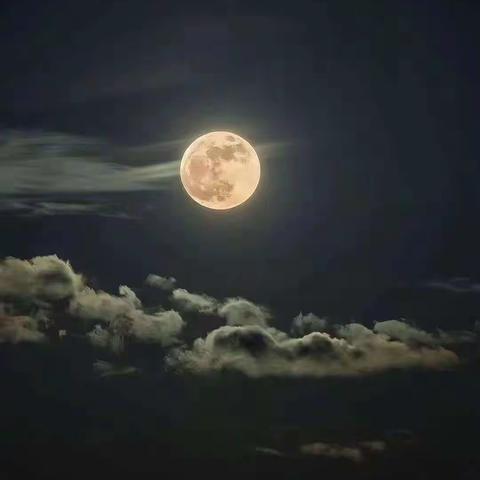 双节齐庆 家国团圆———﻿ 东风小学2301班