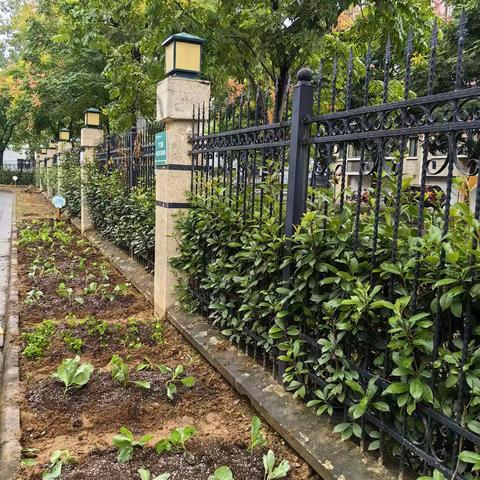 “植”得期待 知物由学