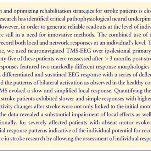 Brain responsivity provides an individual readout for motor recovery after stroke