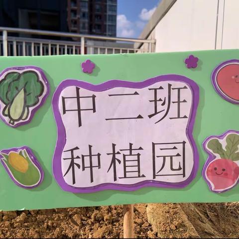 “种”出绿色 “植”出快乐