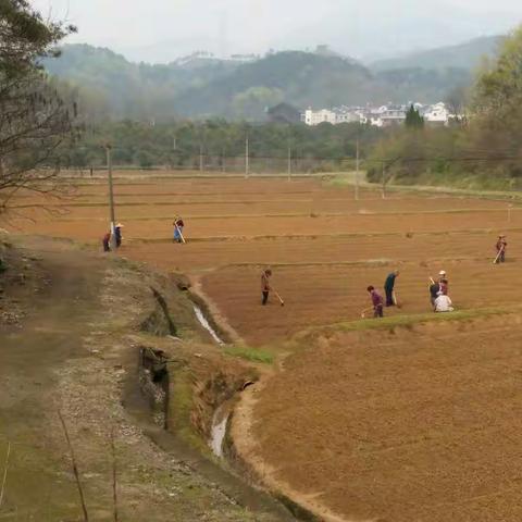 202出发找春天