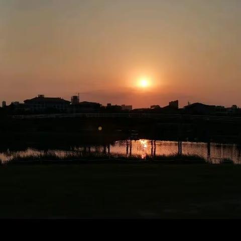 生活匆匆忙忙，请别错过夕阳