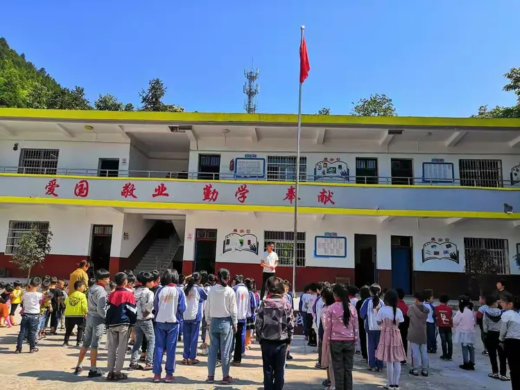 枫林小学2019春季第十五周工作汇报