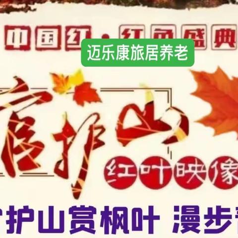 【金秋十月我和红叶有个约会】～赏官护山红叶漫山.走网红金光大道.【相约青州 乐享生活】漫步历史文化名街一日游