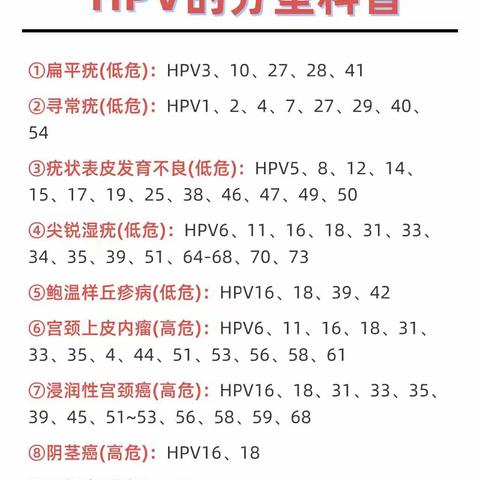 hpv分型有哪些？