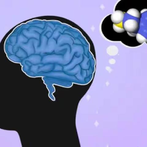 关于儿童注意的发展