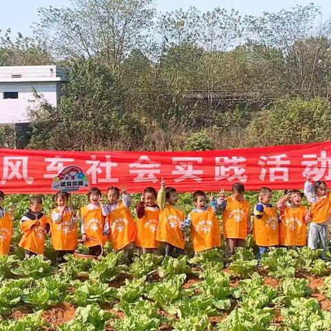 🐳时光恰好，幼见精彩📸——大风车幼儿园诺贝尔班第八周成长记录