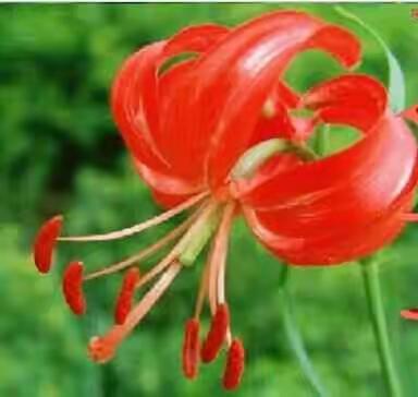 陕北是我热恋的地方―――― 黄土风情――请欣赏