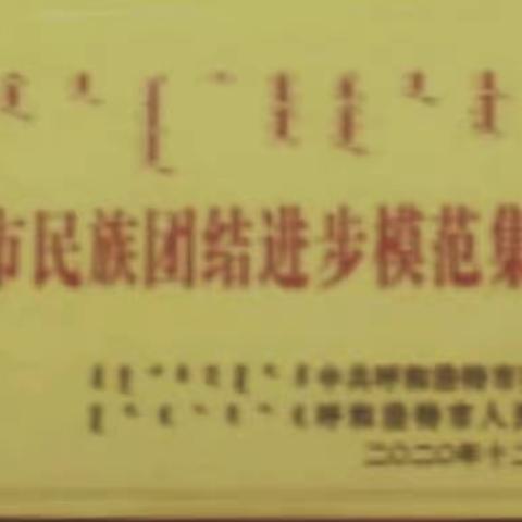 呼和浩特市儿童福利院喜获第十二次民族团结进步模范集体荣誉称号