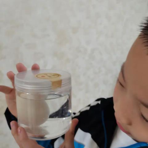 醋泡蛋——吴奕旭