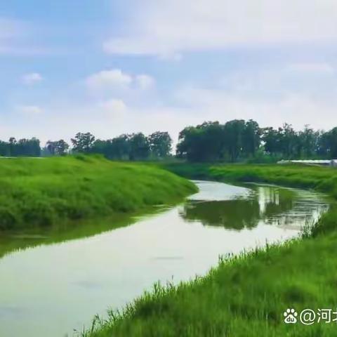 河滨拾趣之海河边