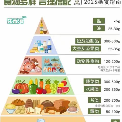 营养师培训报名通知