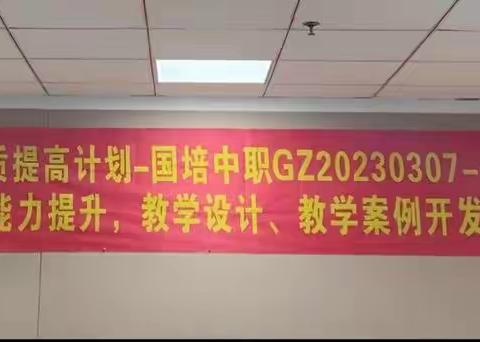 2023年职业院校教师素质提高计划