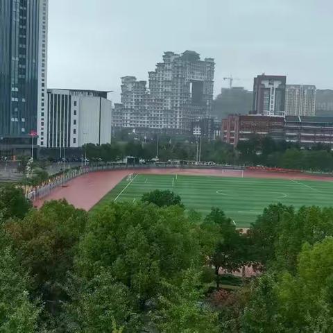 雨中的张院