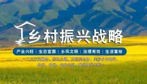 内修外学促提升  统筹谋划助振兴—商河1队持续推进乡村振兴各项工作