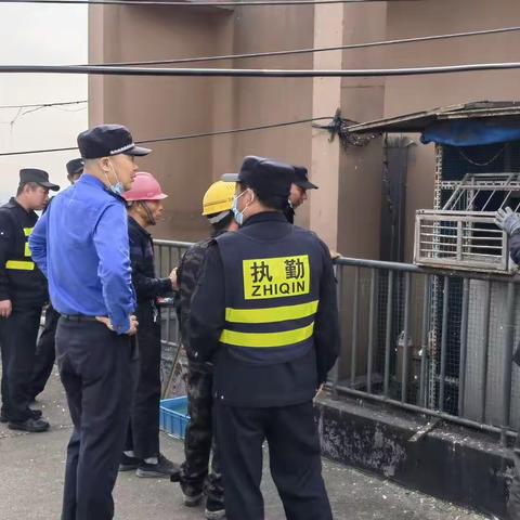 养鸽扰民，办好实事赢民心