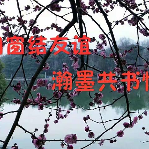 合肥蜀山老年大学隶书班学生相册