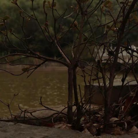 秋天有信，秋意无边