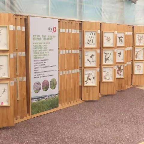 【东门外小学四二中队】为家园——保护生态，争做环保小卫士主题活动