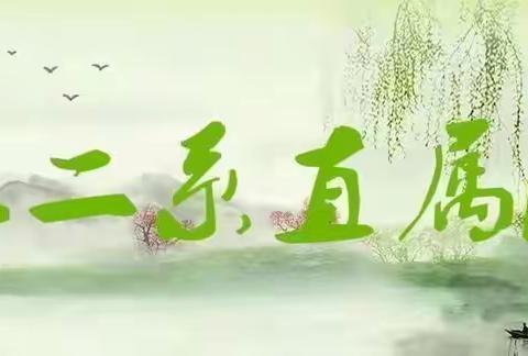 龙风文化中心红二系直属大区