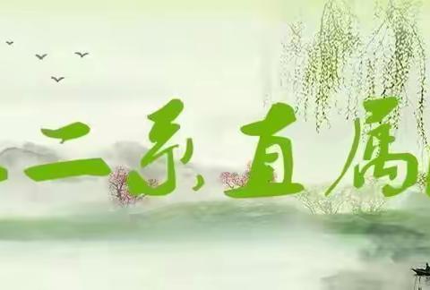 龙风文化中心红二系直属大区
