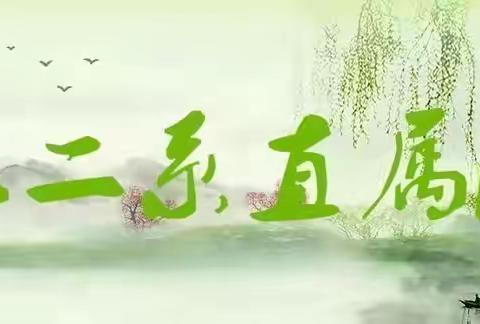 龙风文化中心红二系直属大区