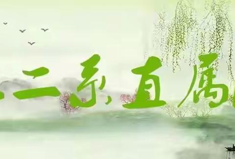 龙风文化中心红二系直属大区