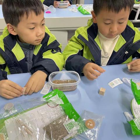 11.20彭祖大道小学鲨鱼公园一2班《不怕地震的房屋》