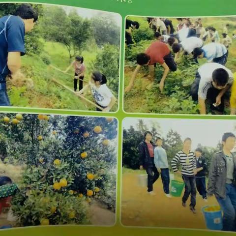 洞口县花园镇中心学校劳动教育成果展示