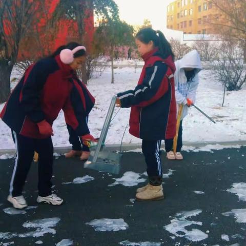 锡林浩特市蒙古族中学初一256班劳动纪实