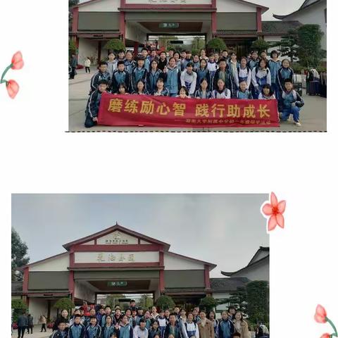 “研”有所思 “学”有所获——湖大附中2301班秋季研学