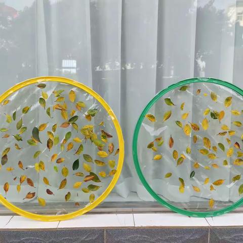 多彩十一月🍁快乐“美”一天——贝贝班十一月精彩回顾