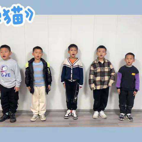 诗歌《小懒猫》