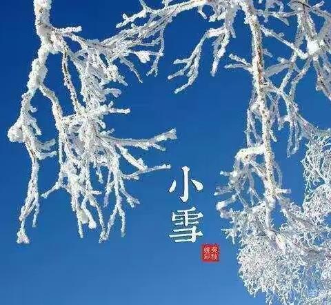 知节气 迎小雪   马桥镇陈庄幼儿园大二班